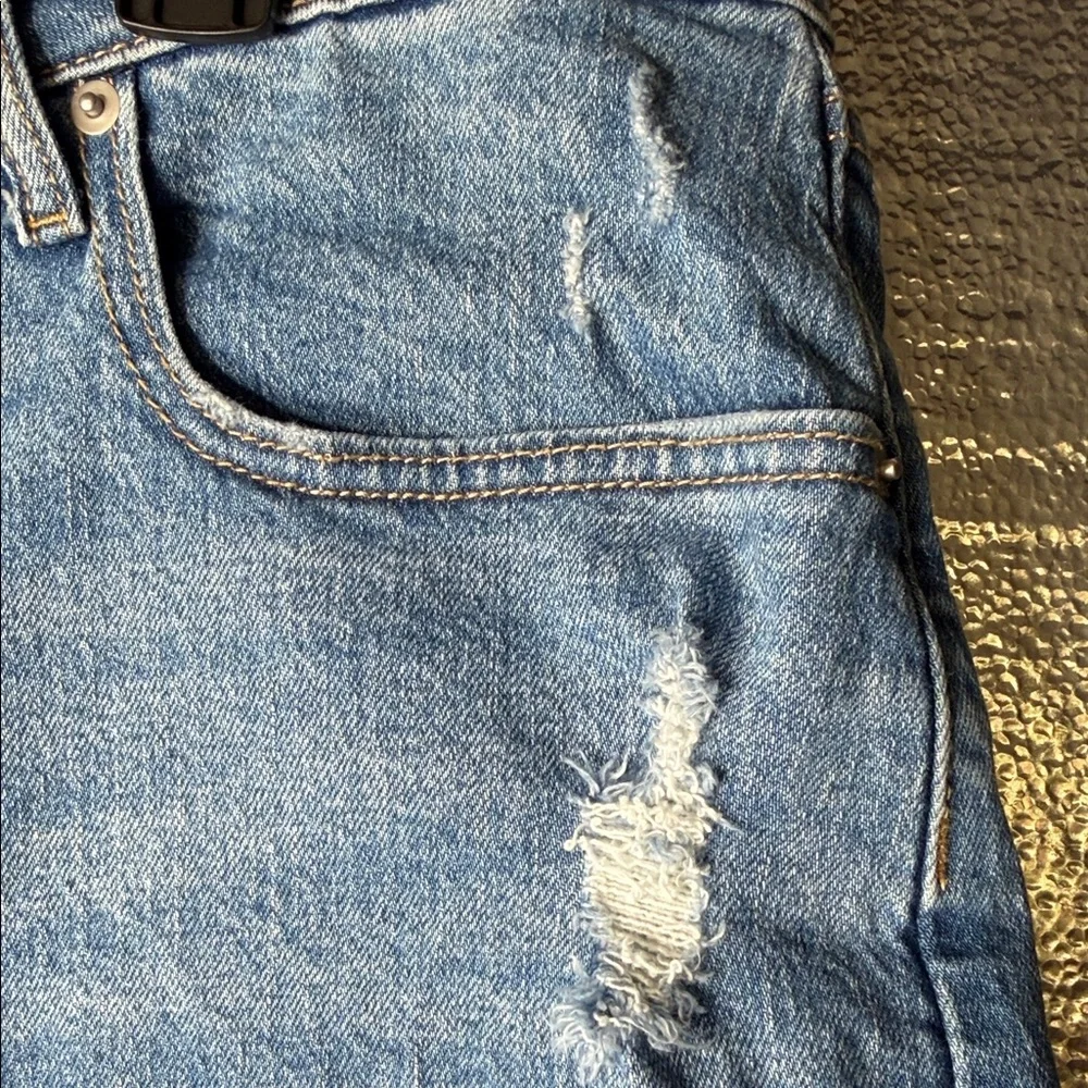 Wild Fable Light Blue Jean Shorts